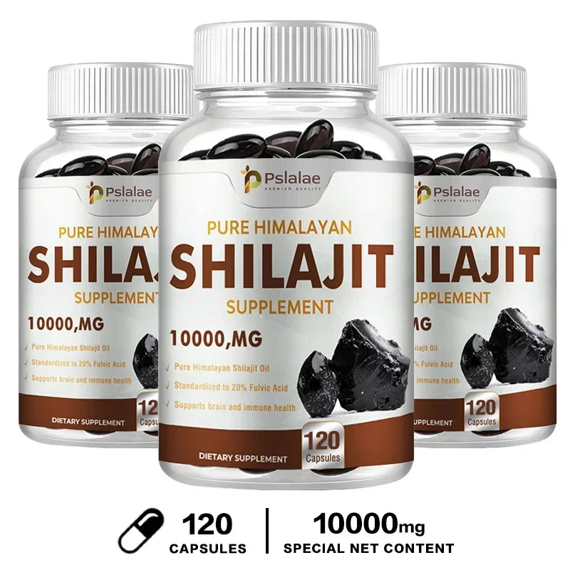 Shilajit – Nutrient Absorption & Energy Support