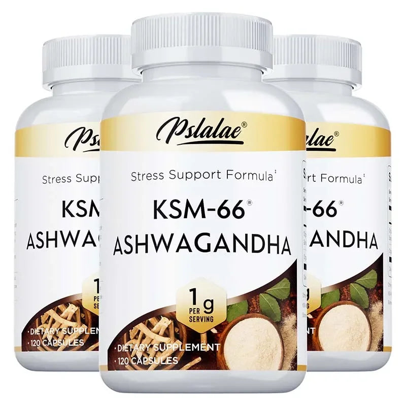 KSM-66 Ashwagandha – Energy, Vitality & Stress Support
