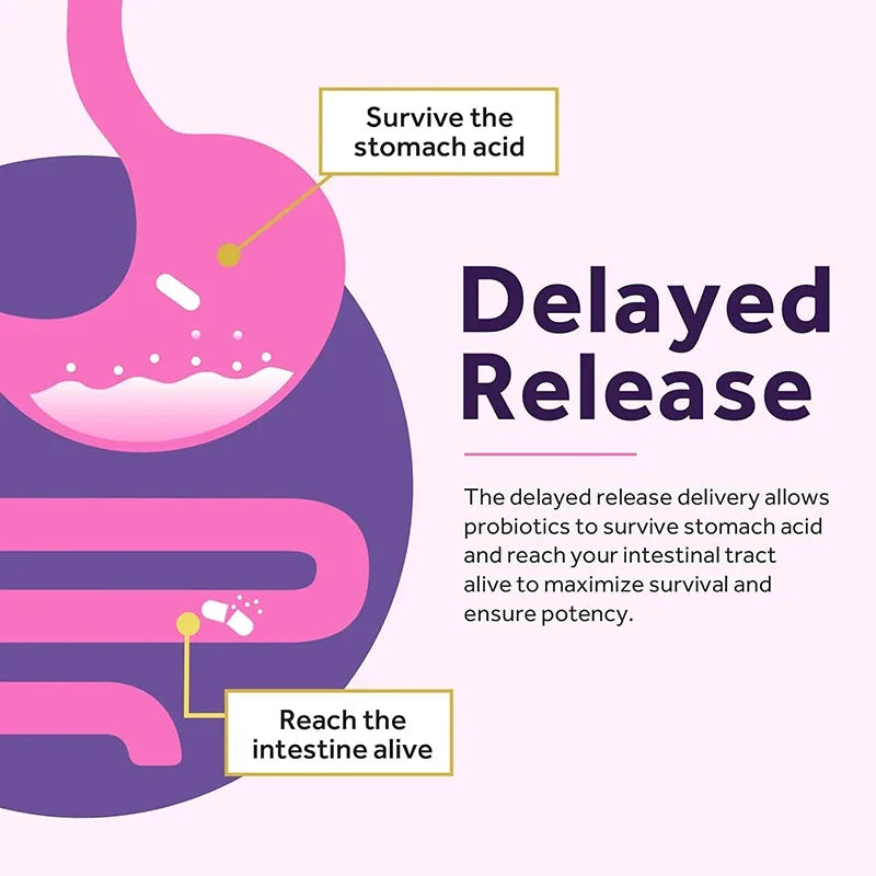Probiotics for Women â Relieve Bloating & Improve Digestion