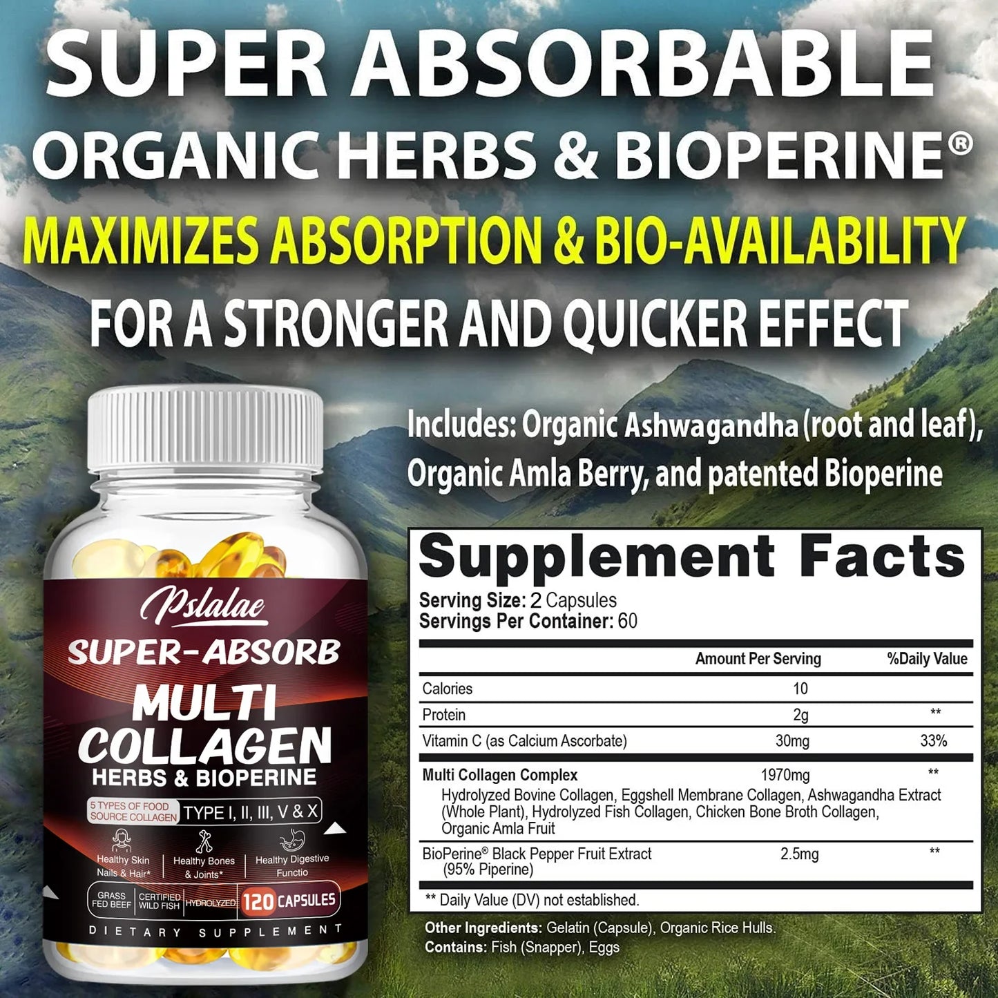 Multi Collagen Capsules â Types I, II, III, V, X + Herbs