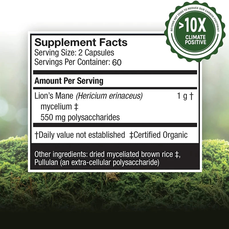 Premium Lion's Mane â Brain & Cognitive Support
