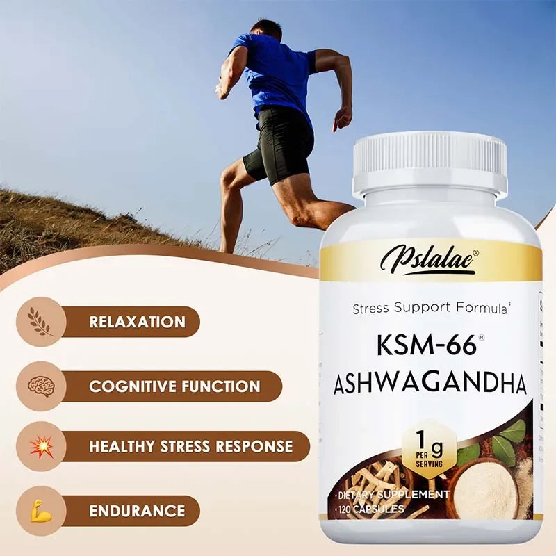 KSM-66 Ashwagandha – Energy, Vitality & Stress Support