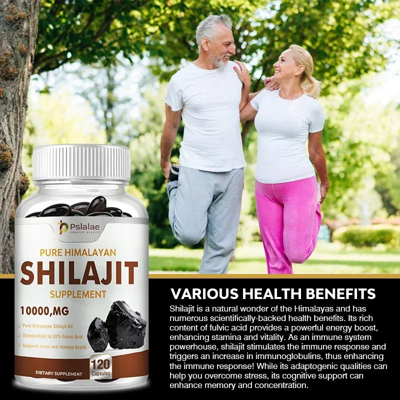 Shilajit – Nutrient Absorption & Energy Support