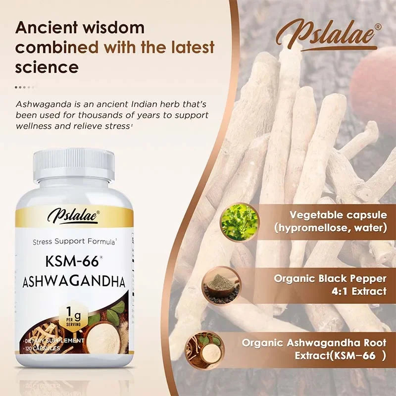 KSM-66 Ashwagandha – Energy, Vitality & Stress Support
