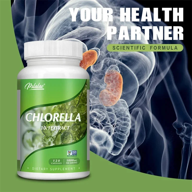 Chlorella â Detox, Digestion & Immune Support