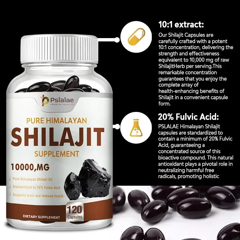 Shilajit – Nutrient Absorption & Energy Support
