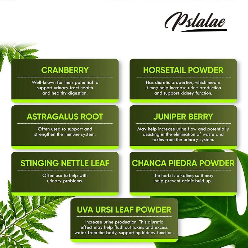 Kidney & Bladder Cleanse – Energy & Immune Support
