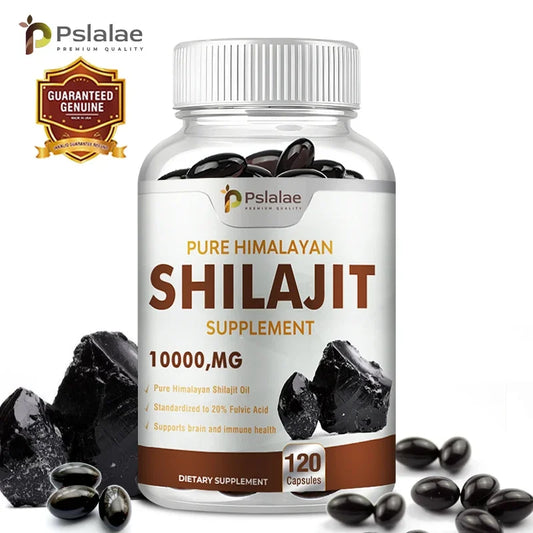 Shilajit – Nutrient Absorption & Energy Support